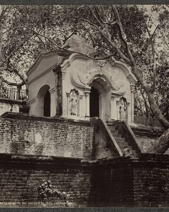 An old sepia photograph of stone steps and a small shrine beneath large trees.